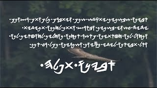 ABAYNO THAPALAH sung by Thaar from the tribe of Gad EXODUS2023 [upl. by Hereld]