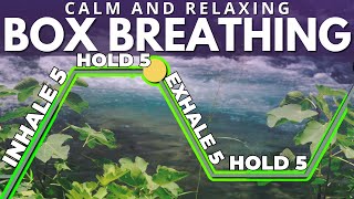 Guided Box Breathing for Anxiety 5555 [upl. by Catlee]