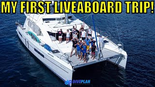 My First Liveaboard Trip  Apo Reef Philippines 🇵🇭 [upl. by Adan]