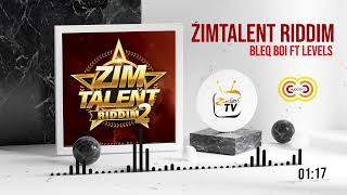 Download the ZimTalent Riddim 2 Official Instrumental [upl. by Gorges]