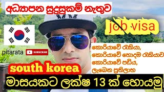 දකුණු කොරියාවේ කිසිම අධ්‍යාපන සුදුසුකමක් නැතුව ලක්ෂ 13 ක පඩියක් Korean jobs for sri lankers Korea [upl. by Webb]