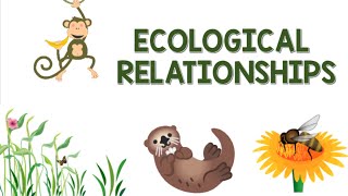 Ecological Relationships  Animation [upl. by Iolande130]