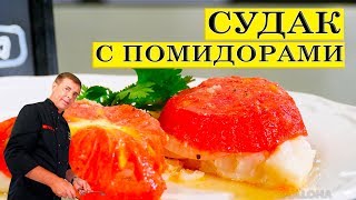 Судак с помидорами  Простой вкусный рецепт  ENG SUB [upl. by Arza]