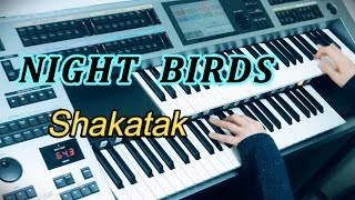 Night Birds  Shakatak ナイト・バーズ（耳コピ）★YAMAHA Electone ELS02C [upl. by Niledam]