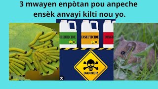 3 moyens efficaces pour combattre les insectes [upl. by Ylekalb]