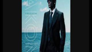 Akon  We Dont Care  Good Quality Audio [upl. by Geilich]