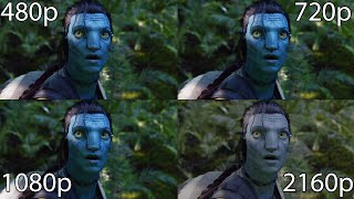 Avatar 480p vs 720p vs 1080p vs 2160p [upl. by Shue]