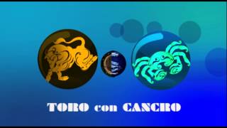 AFFINITA TORO CON CANCRO [upl. by Choo]