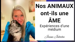 NOS ANIMAUX ONTILS UNE ÂME OÙ VONTILS APRÈS LA MORT  ✨🙏🏻✨ [upl. by Ainit]