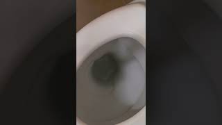 Toilet Not Filling Up With Water Fix 1 [upl. by Awhsoj]