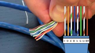 How to Make an Ethernet Cable  FD500R  24 Crimp Tool Demonstration [upl. by Dodd]