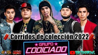 🧨grupo codiciado ❌mix corridos de coleccion 2022codiloco puros corridasos [upl. by Carn351]