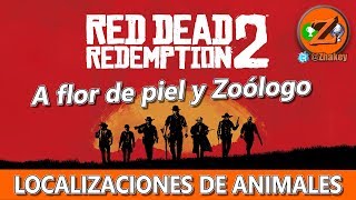 Red Dead Redemption 2 Localización de Animales  Logros  Trofeos A flor de piel  zoólogo [upl. by Dreyer]