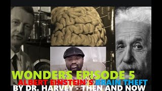 WONDERS EPISODE 5 ALBERT EINSTEINS BRAIN THEFT BY DR HARVEY  THEN AND NOW [upl. by Sinnod]