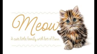 How to Download and Install Meow Script Font Free Download trending viral [upl. by Amorette]