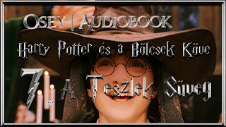 Harry Potter és a Bölcsek Köve hangoskönyv  7 fejezet [upl. by Attelahs189]