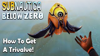 TRIVALVE  The CUTEST Creature In Subnautica Below Zero  How To Get One [upl. by Olimac]