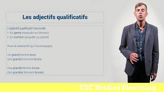 4 Adjectifs qualificatifs [upl. by Scarlet67]