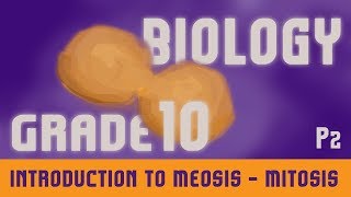 The Cell  What Is Meiosis  What Are The Divisions Of Meiosis  Meiosis I amp Meiosis II  Part 4 [upl. by Nednerb70]