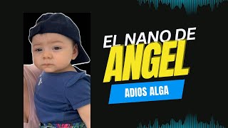 😇 Eliminemos el alga en el nano de Ángel 👏🏼 Ep 2 [upl. by Leohcin975]