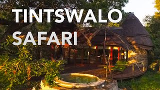 Tintswalo Safari Lodge  Kruger Park  South Africa [upl. by Fayth]