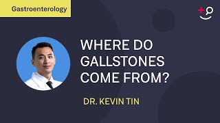 Where do gallstones come from An explanation of the possible causes [upl. by O'Driscoll86]