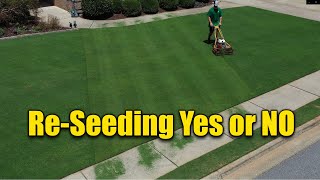 Reseeding Lawns  Does and Donts [upl. by Verner]