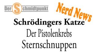 Schrödingers Katze  Der Pistolenkrebs  Sternschnuppen Nerd News [upl. by Siuraj461]