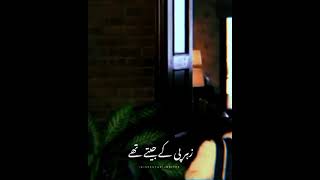 Hum Kahan k Sachy Thy ❤️ Ost [upl. by Llerot]