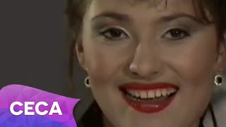 Ceca  Sve u svoje vreme  Official Video 1990 [upl. by Delgado]