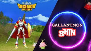 Digimon Masters Online LADMO Gallantmon Shin  Demonstração [upl. by Hassadah652]