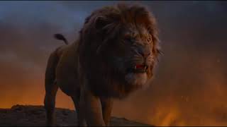 Scar tells Simba that he killed Mufasa The Lion King 2019 Movie Clip [upl. by Ardua]