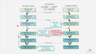 Why its incorrect to say omega 6 is bad  omega 3 and 6 differences PART 3 of 4 [upl. by Ademla665]