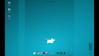 DEBIAN with XFCE Customization suite 🗿 [upl. by Ravo642]