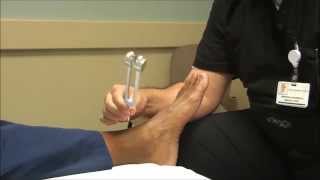 Neurologic Examination of the Foot The 128 Hz Tuning Fork Test [upl. by Jordan]