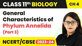 General Characteristics of Phylum Annelida Part 3  Class 11 Biology Chapter 4  NCERTCBSE [upl. by Ringe346]