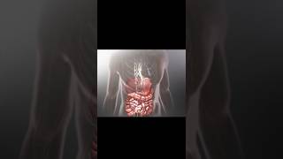 Peristalsis medicine healthtips health mbbs treatment symptoms ytshorts healthcare healthy [upl. by Littlejohn]