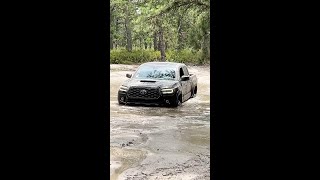 Toyota Tacoma playing in mud [upl. by Ettenad]