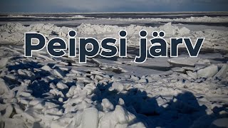 Peipsi järv  Lake Peipus  Чудское [upl. by Rhetta]