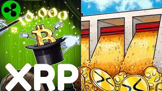 Ripple XRP NEUER AIRDROP 100 MILLIONEN COINS [upl. by Yeltneb425]