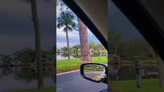 Tarpon Springs Florida 📍🇺🇸 tarponsprings florida summer video car beautiful shorts [upl. by Azial]