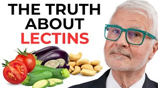 Dr Gundry on Lectins  What Lectins Can do to YOUR Health  Inflammation amp Leaky Gut [upl. by Andras]