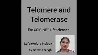 Telomere and Telomerase Molecular Biology [upl. by Waverley]