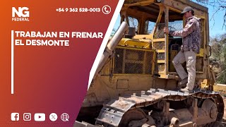 NGFEDERAL  TRABAJAN EN FRENAR EL DESMONTE [upl. by Ecirpac]