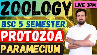 BSC 5 SEMESTER  ZOOLOGY  PHYLUM PROTOZOA  PARAMECIUM  BY AMIT MAVI SIR [upl. by Alden]