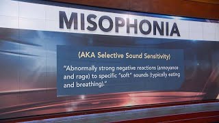 Misophonia Explained  Do You Suffer From It [upl. by Mariano]