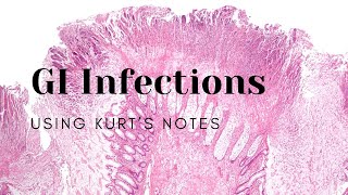 GI Infections Using Kurt’s Notes pathology path gipath pathagonia [upl. by Ahsinrac]