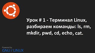 Видео урок 1 Терминал Linux команды  ls rm mkdir pwd cd echo [upl. by Klehm206]