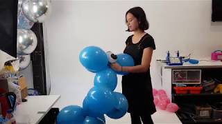 Balloon Doggies Some time lapse fun [upl. by Andryc]