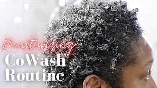 Moisturizing Co Wash Routine  Natural Hair [upl. by Hsetirp]